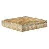 Elegant Luxor Buffet Display - Resin - Shell Imitation - Golden Finish - 38 cm x 38 cm x 8 cm