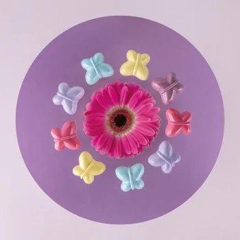 Professional Polycarbonate Mariposa Butterfly Chocolate Praline Mold - 30.5 mm x 34.5 mm h 14 mm - 9gr - 24 Cavities