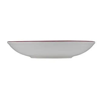 ID Fine Modest Maroon Deep Plate – 9.86 Inch, 39 oz - Set of 12