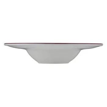 ID Fine Modest Maroon Deep Plate – 11.4 Inch, 16 oz - Set of 6
