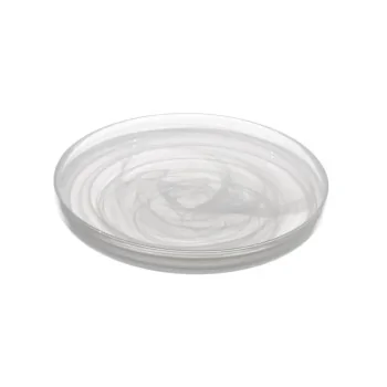 Ardacam Asos Plate – 12.99 Inch - Set of 2