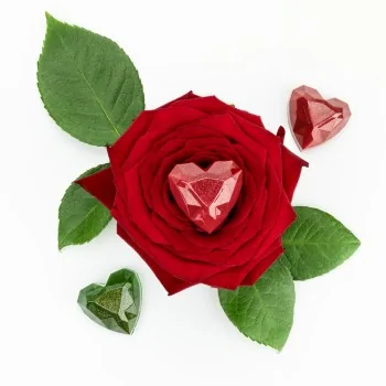 Professional Polycarbonate Diamond Heart Praline Mold - 33 mm x 33 mm x h 15 mm - 10gr - 24 Cavity