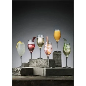 Orrefors Sense Sparkling Wine Glass - Set of 6