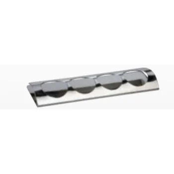 Elegant 18/10 Stainless Steel Tray - Mirror Polished - 24 x 7.5 cm (4-Hole Design)