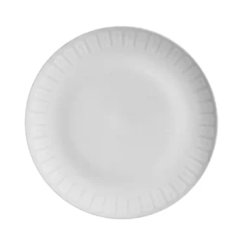 Stoneware Aurora Dinner Plate Coup - Diam. 10.23" - Pack of 12