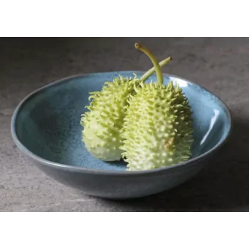 Stoneware Breeze Organic Bowl - Diam. 6.9 x 2.2" - Pack of 12