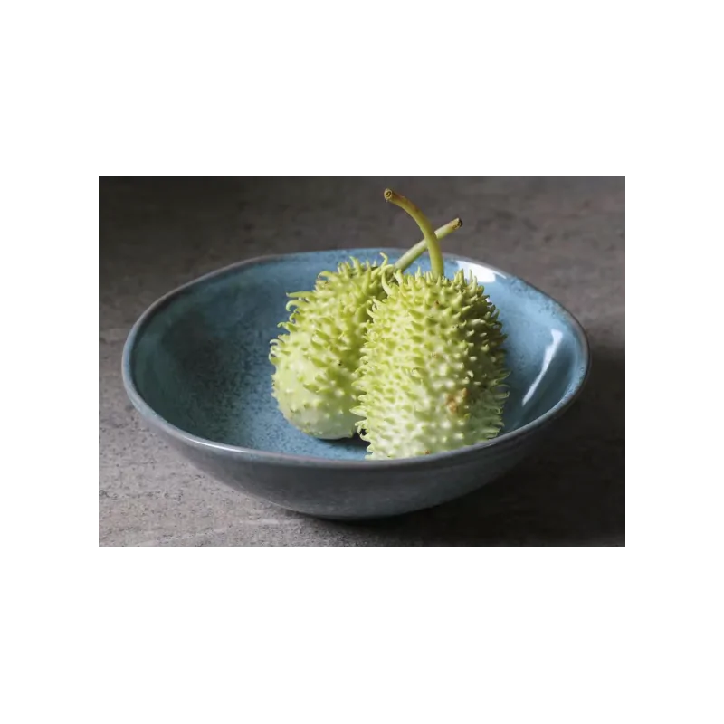 Stoneware Breeze Organic Bowl - Diam. 6.9 x 2.2" - Pack of 12 Stoneware Breeze Organic Bowl - Diam. 6.9 x 2.2" - Pack of 12