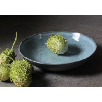 Stoneware Breeze Soup Plate Bio - Diam. 8.86" - Pack of 12