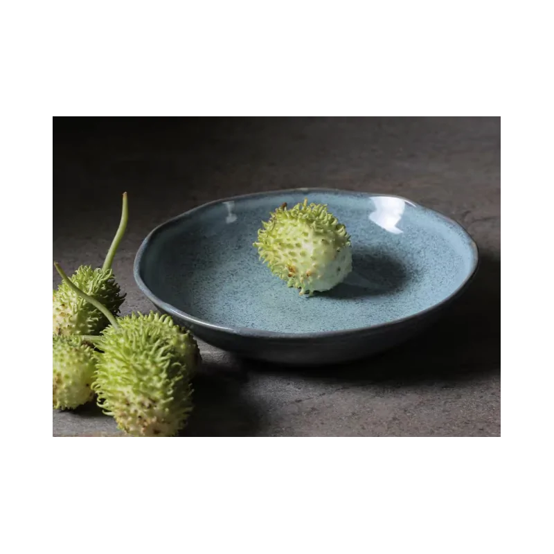 Stoneware Breeze Soup Plate Bio - Diam. 8.86" - Pack of 12