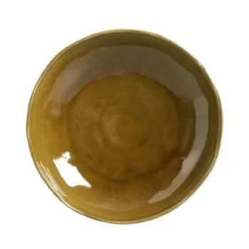 Stoneware Amber Soup Plate Bio - Diam. 8.86" - Pack of 12