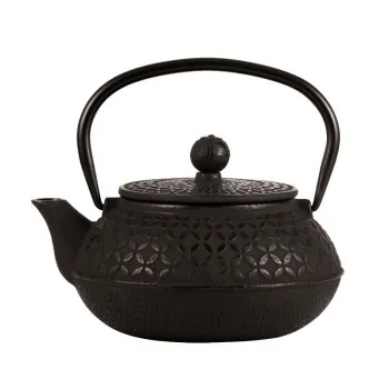 Japanese teapot with stainless steel infuser - Ghisa smaltata - 1 lt - Set of 6