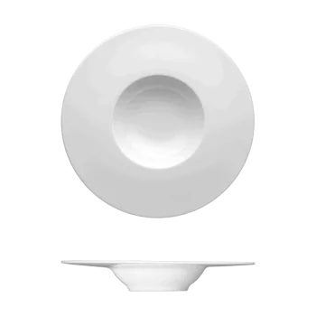Fine White Porcelain Deep Gourmet Plate - Ecos Collection - 9 7/8" ( 25cm ) - set of 12