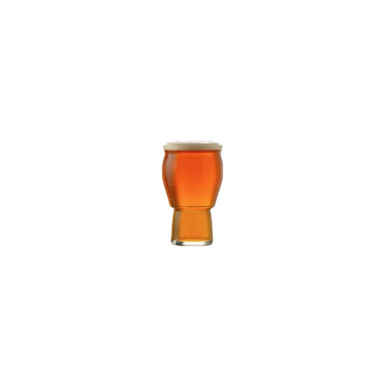 Revolution Grand 13.5oz Beer - Set of 24
