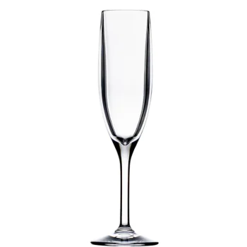Bold Drinkware Revel 5.5oz Champagne - Set of 12