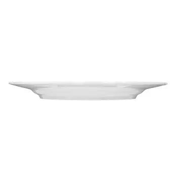 Seltmann Salzburg Flat Plate – 9.9 Inch - set of 6