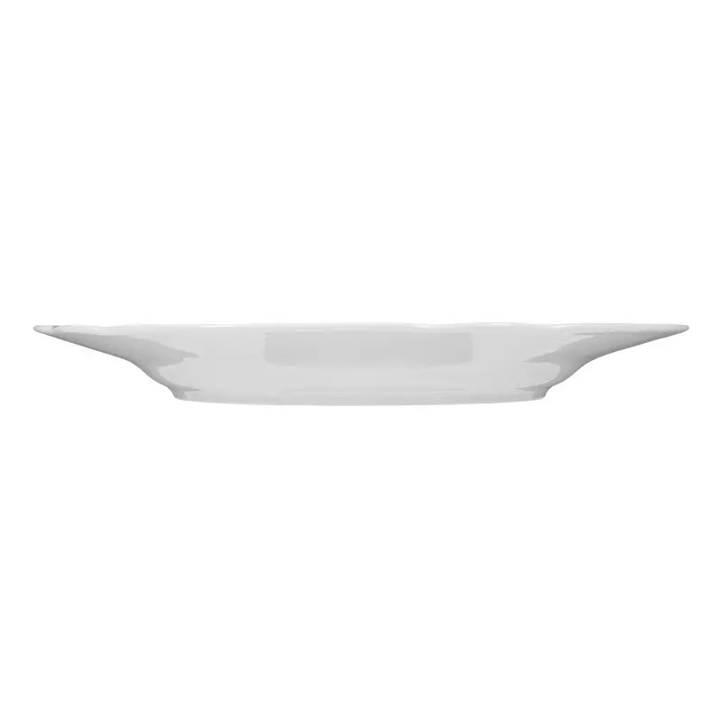 Seltmann Salzburg Flat Plate – 10.6 Inch - set of 6