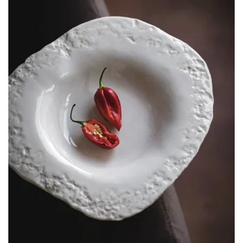 Artisan Handcrafted Lithos Bowl White - Dia: 26cm - H: 4cm - Case of 6