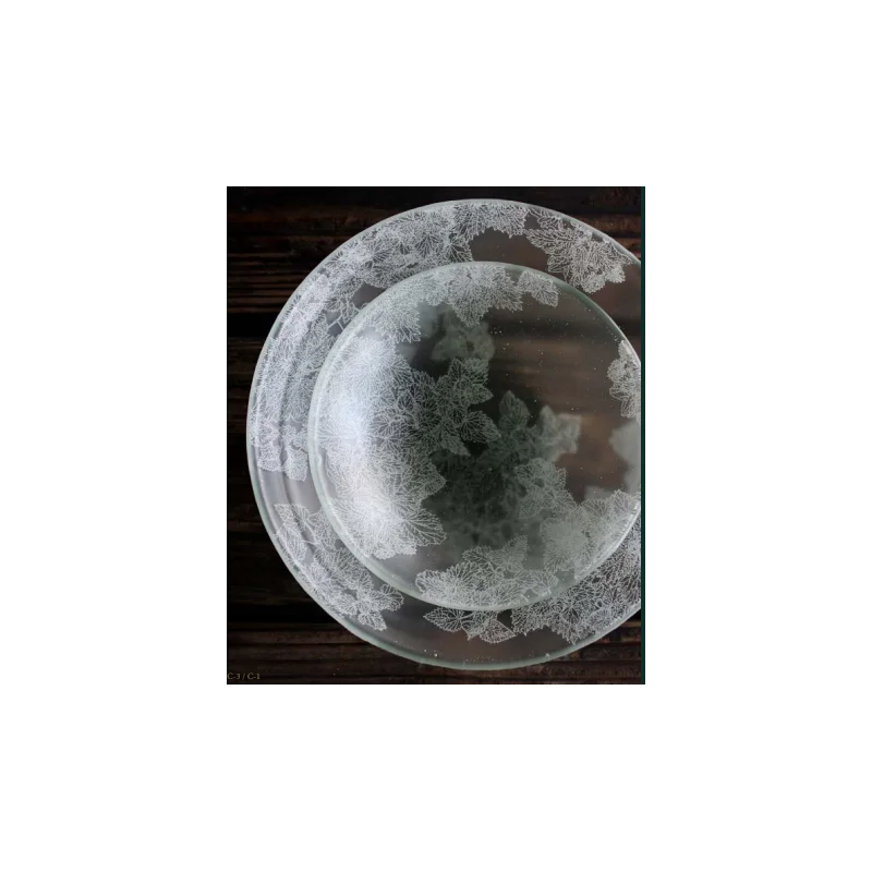 Frosted Glass 10.4cm Satellite Bowl - Dentelles D'Orties Collection - Set of 12