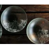 Frosted Glass 17.9cm Bowl - Gipsophile Collection - Set of 12