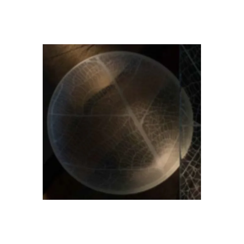 Frosted Glass 13.7cm Plate - Nervures Collection - Set of 12