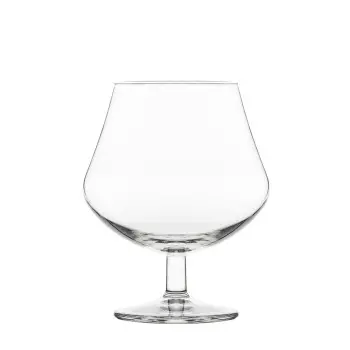 Onis Arome Spirits Glass – 3.3 Inch - 8.5oz