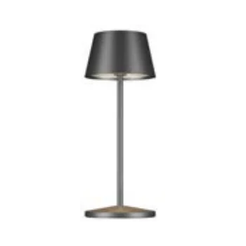 Seoul Collection Micro Metallic Rc Brushe Graphite Cordless Lamp - 3 in Dia x 7.8 in H - 2.3 watt
