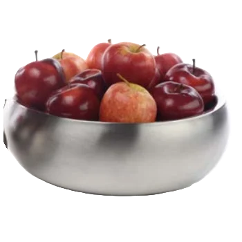 Zurich Collection Large Double Wall Bowl - 10 in Dia x 3.5 in H