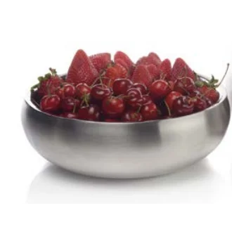 Zurich Collection Small Double Wall Bowl - 10 in Dia x 3.5 in H