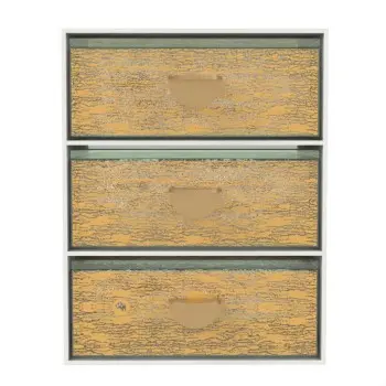 My Glass Studio Bento Box, Gold - Set of 2 - 14.0 x 14.0 x 19.5 cm