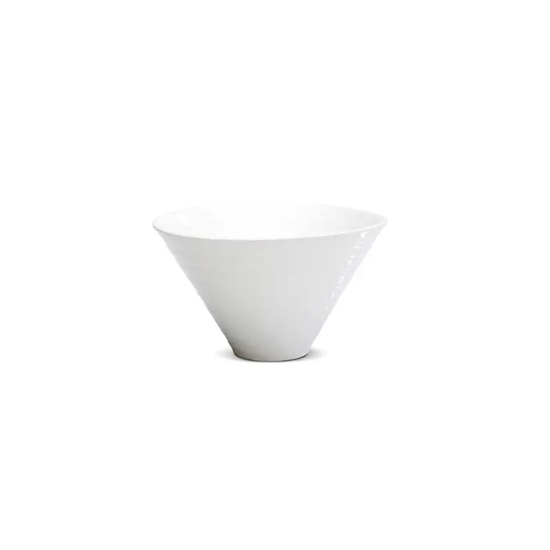 Cone Collection Bowl - 9.0 in Dia x 5.3 in H - Set of 6 Cone Collection Bowl - 9.0 in Dia x 5.3 in H - Set of 6