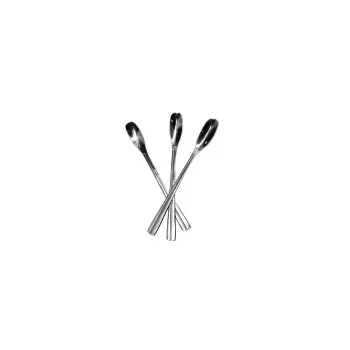 Buckingham Collection Spoon - 17.8 in L x 6 in W x 0.2 in - Set of 12