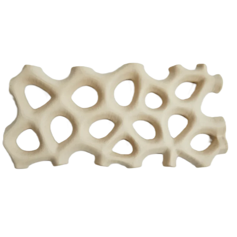 Hand Sculpted Stoneware Coral Platter in Unglazed White Finish - 20 x 9 x 2 cm - Case of 6 Hand Sculpted Stoneware Coral Platter in Unglazed White Finish - 20 x 9 x 2 cm - Case of 6