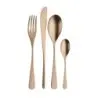 Pintinox Stainless Steel Elegant Audrey Velvet Copper Table Spoon - Set of 24