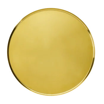 Service Ideas Modern Edge Tray 18 8 Stainless Steel With Removable Insert 12 Inch Vintage Gold Finish