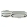 My Glass Studio Chip Dip Server, Grey - Set of 2 - 29.0 x 18.5 x 8.0 cm