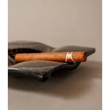 My Glass Studio Ashtray, Black - Set of 6 - 20.0 x 20.0 x 4 cm