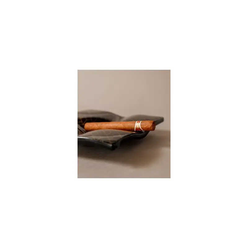 My Glass Studio Ashtray, Black - Set of 6 - 20.0 x 20.0 x 4 cm