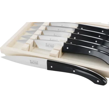 Andre Verdier Capucin 6 Pcs Knife - Plain Edge In Closed Box - Black Acrylic Handle
