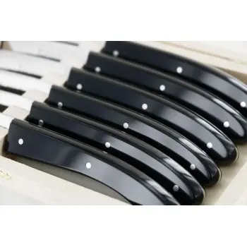 Andre Verdier Capucin 6 Pcs Knife - Plain Edge In Closed Box - Black Acrylic Handle