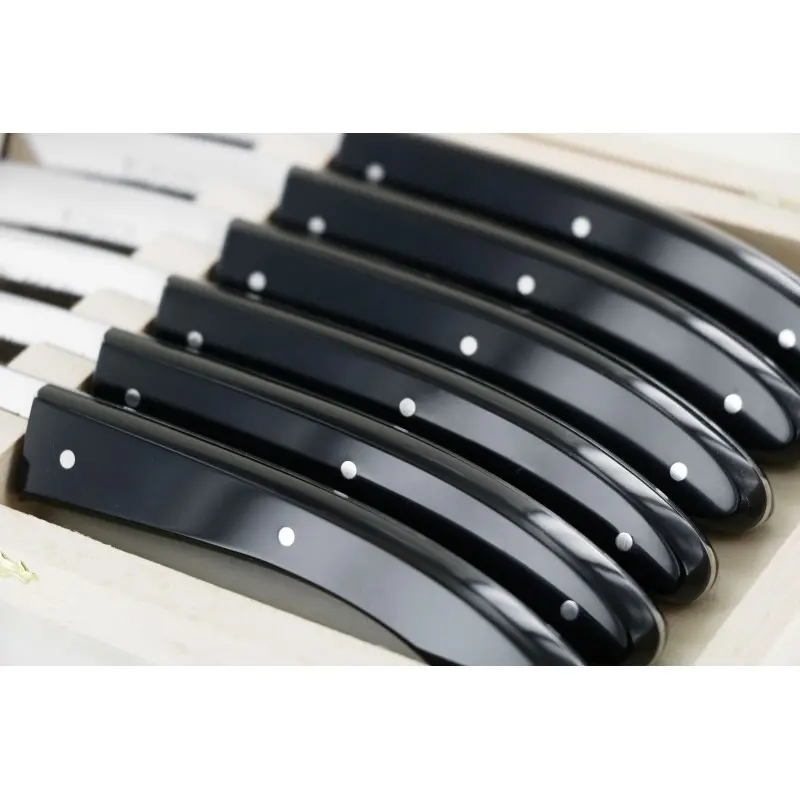 Andre Verdier Capucin 6 Pcs Knife - Plain Edge In Closed Box - Black Acrylic Handle