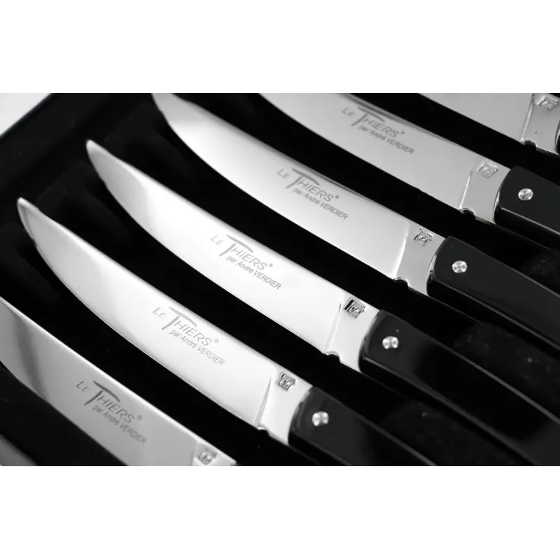 Andre Verdier Le Thiers Couleur 6Pc Knife In Black Box - Black Acrylic Handle Andre Verdier Le Thiers Couleur 6Pc Knife In Black Box - Black Acrylic Handle