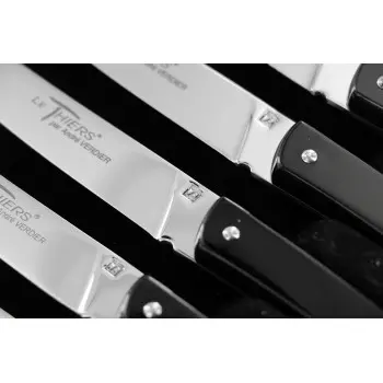 Andre Verdier Le Thiers Couleur 6Pc Knife In Black Box - Black Acrylic Handle