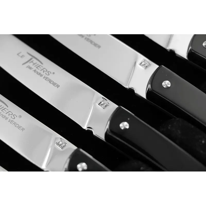 Andre Verdier Le Thiers Couleur 6Pc Knife In Black Box - Black Acrylic Handle Andre Verdier Le Thiers Couleur 6Pc Knife In Black Box - Black Acrylic Handle
