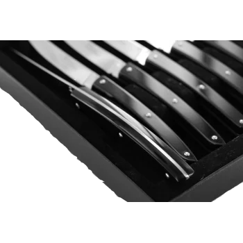 Andre Verdier Le Thiers Couleur 6Pc Knife In Black Box - Black Acrylic Handle