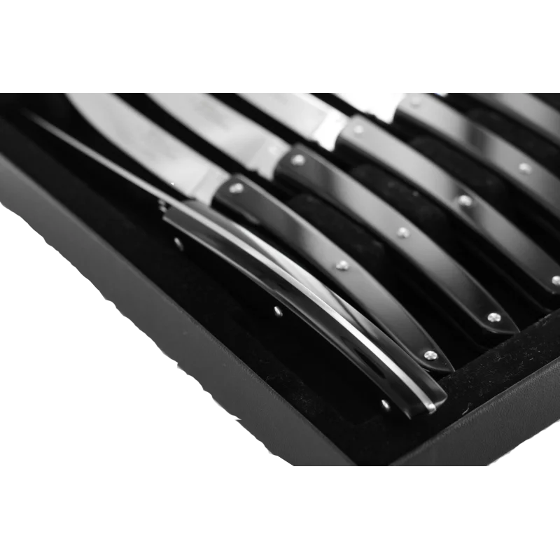 Andre Verdier Le Thiers Couleur 6Pc Knife In Black Box - Black Acrylic Handle Andre Verdier Le Thiers Couleur 6Pc Knife In Black Box - Black Acrylic Handle