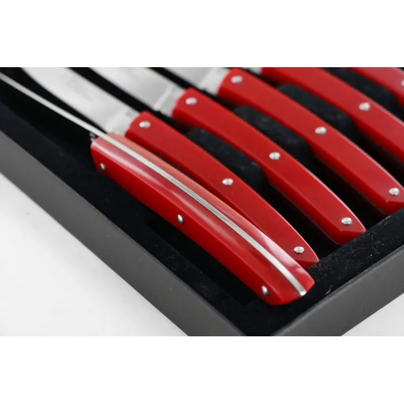 Andre Verdier Le Thiers Couleur 6Pc Knife In Black Box - Red Acrylic Handle Andre Verdier Le Thiers Couleur 6Pc Knife In Black Box - Red Acrylic Handle