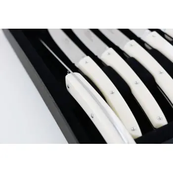 Andre Verdier Le Thiers Couleur 6Pc Knife - In Black Box - Off-White Acrylic Handle