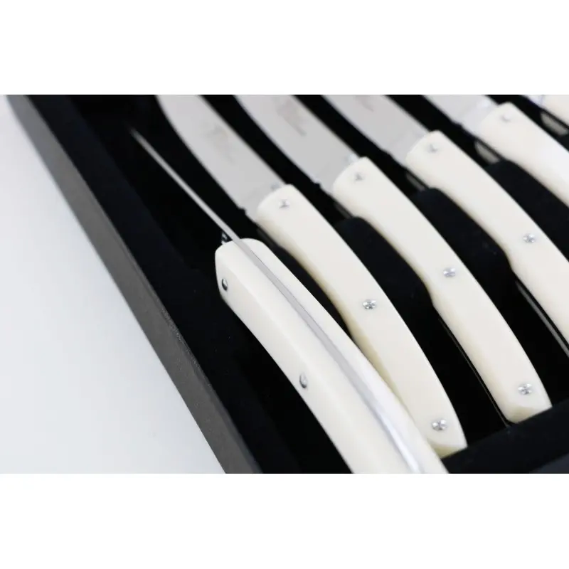 Andre Verdier Le Thiers Couleur 6Pc Knife - In Black Box - Off-White Acrylic Handle Andre Verdier Le Thiers Couleur 6Pc Knife - In Black Box - Off-White Acrylic Handle