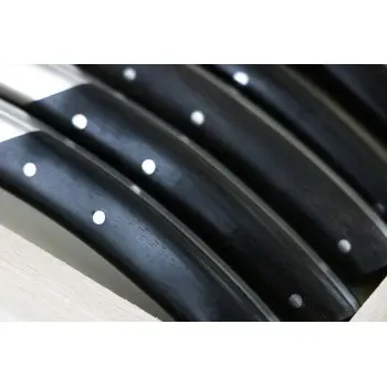 Andre Verdier Le Thiers Elegance 6Pc Knife - 1 Solid Stainless Steel Bolster In Box - Ebony Handle