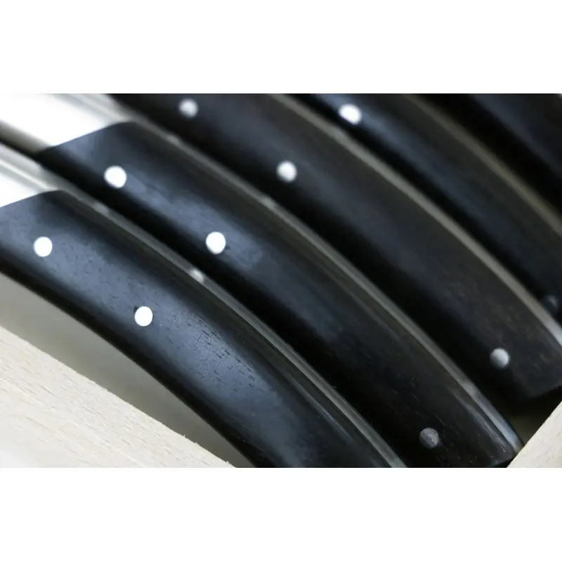 Andre Verdier Le Thiers Elegance 6Pc Knife - 1 Solid Stainless Steel Bolster In Box - Ebony Handle Andre Verdier Le Thiers Elegance 6Pc Knife - 1 Solid Stainless Steel Bolster In Box - Ebony Handle